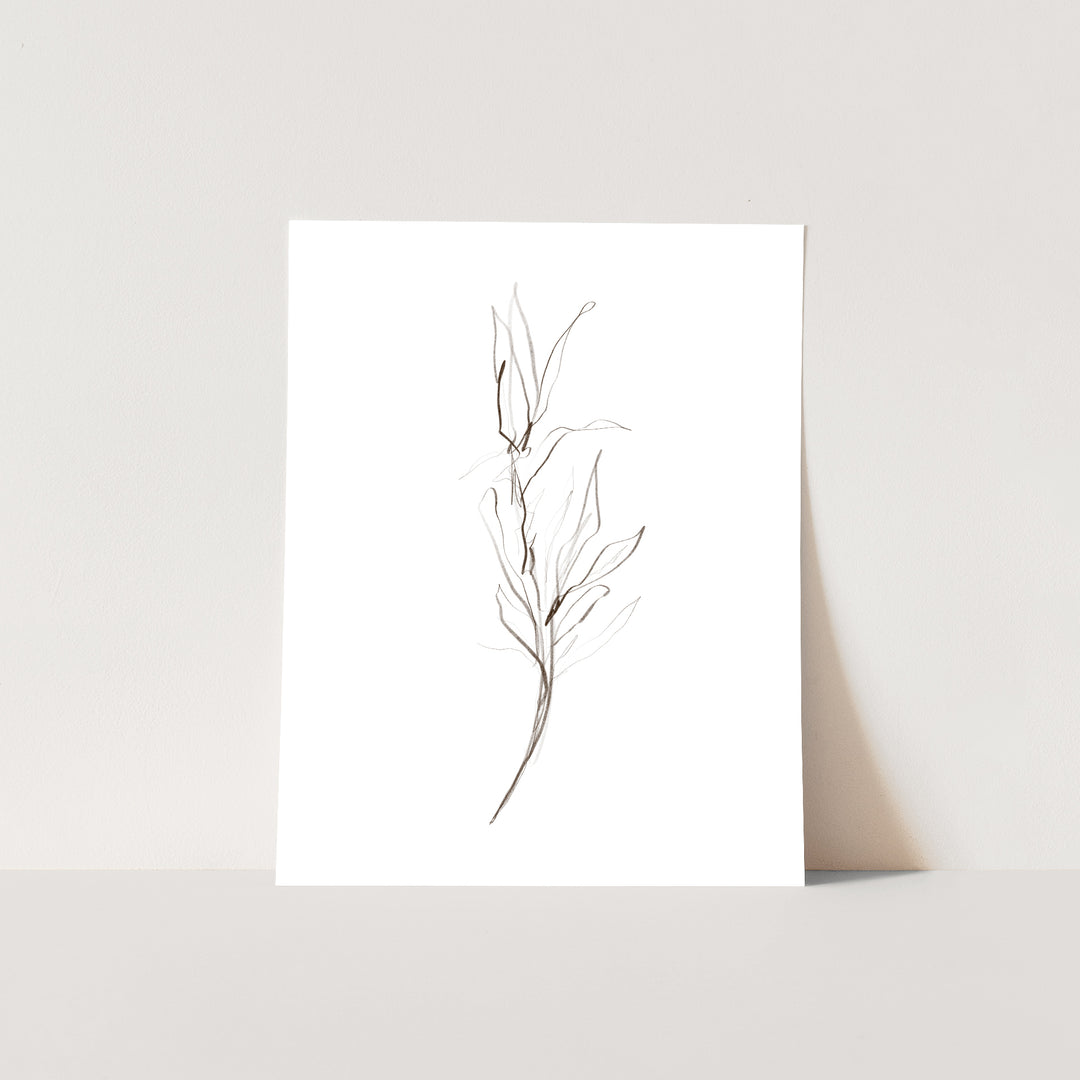 Minimalist Fall Plant Study, No. 1 - Jetty Home