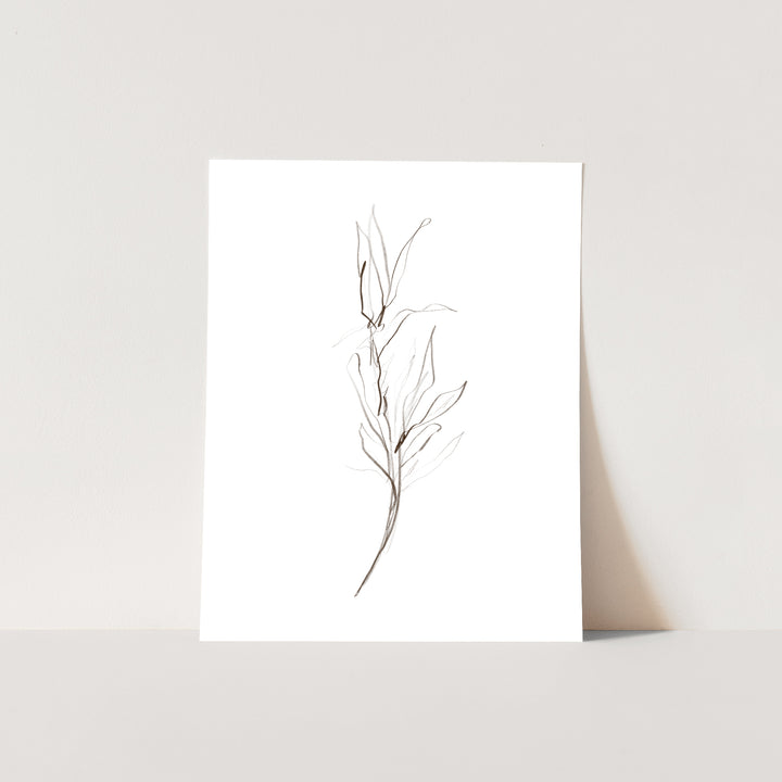 Minimalist Fall Plant Study, No. 1 - Jetty Home