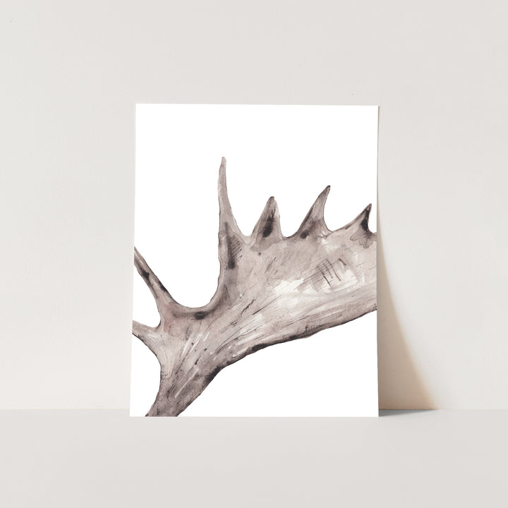 Rustic Moose Antler - Jetty Home