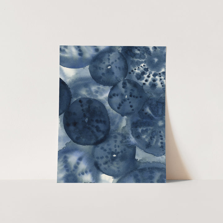 The Sea Urchins