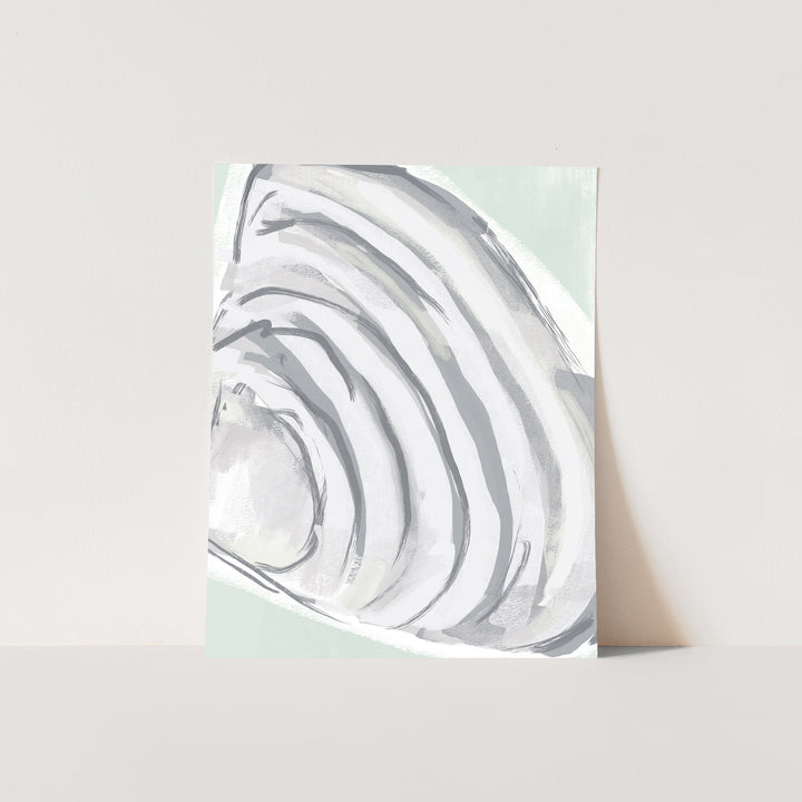 The Summer Shell