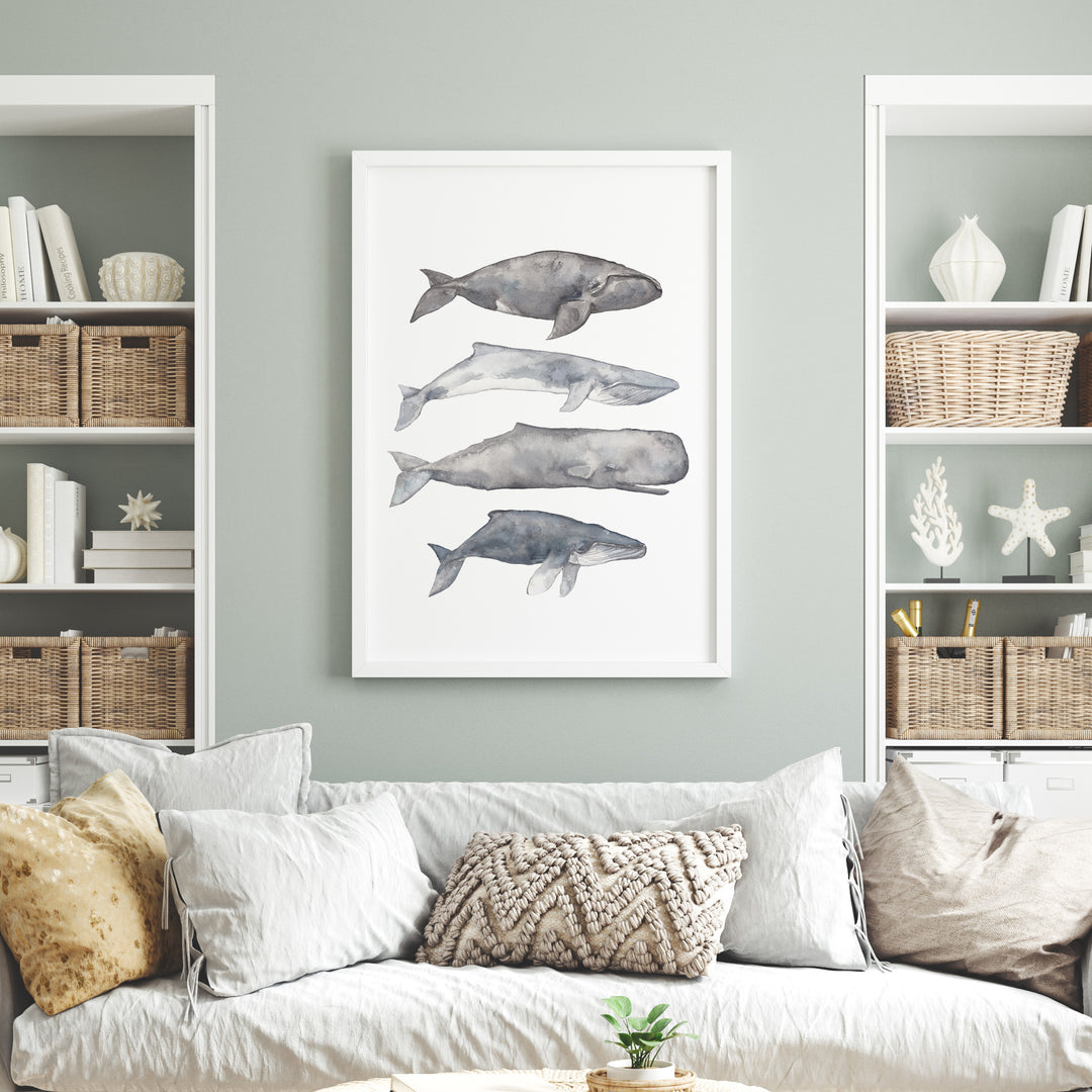 Sperm, Fin, Humpback & Right Whale Watercolor  - Art Print or Canvas - Jetty Home