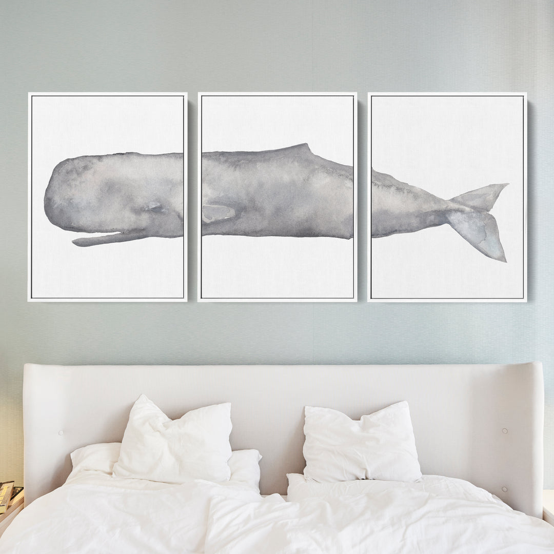 Sperm Whale Watercolor - Set of 3  - Art Prints or Canvases - Jetty Home