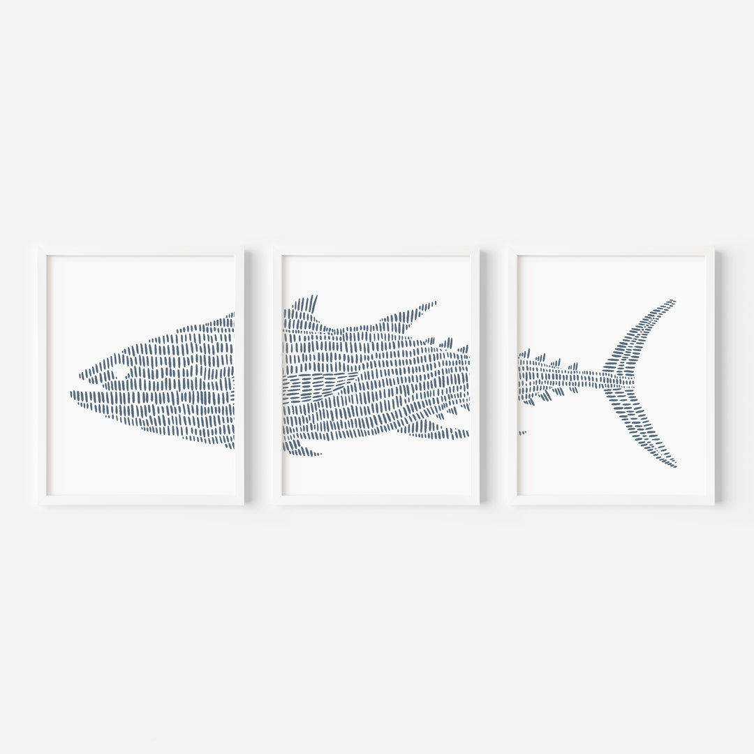 Tuna Fish Modern Illustration - Set of 3  - Art Prints or Canvases - Jetty Home