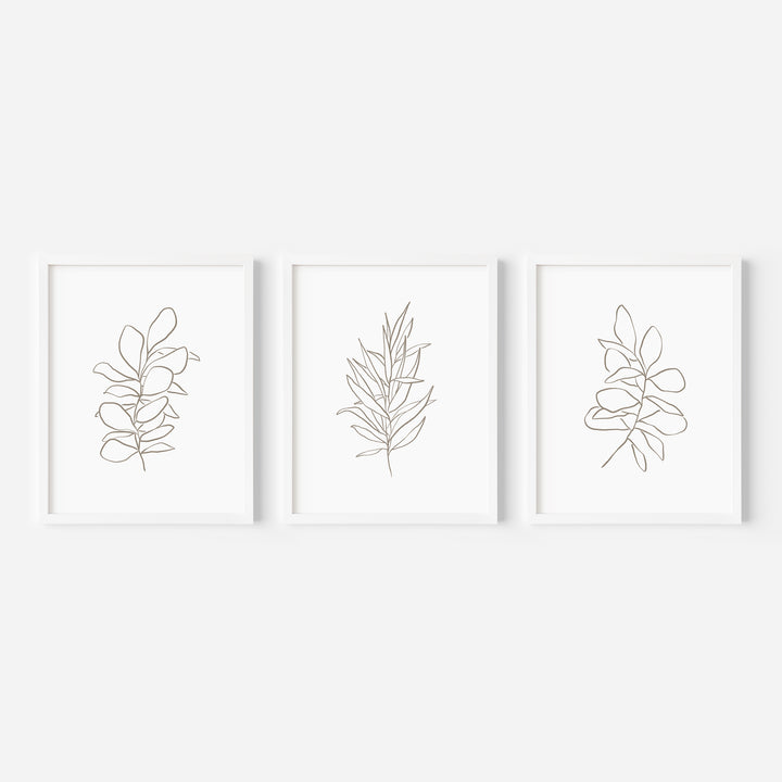 Eucalyptus Plant Illustrations - Set of 3  - Art Prints or Canvases - Jetty Home