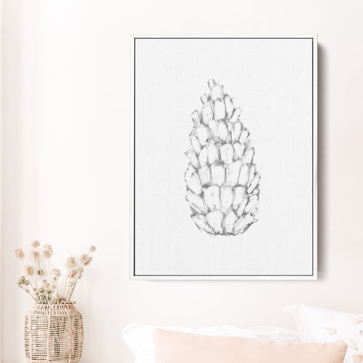 Pine Cone Illustration