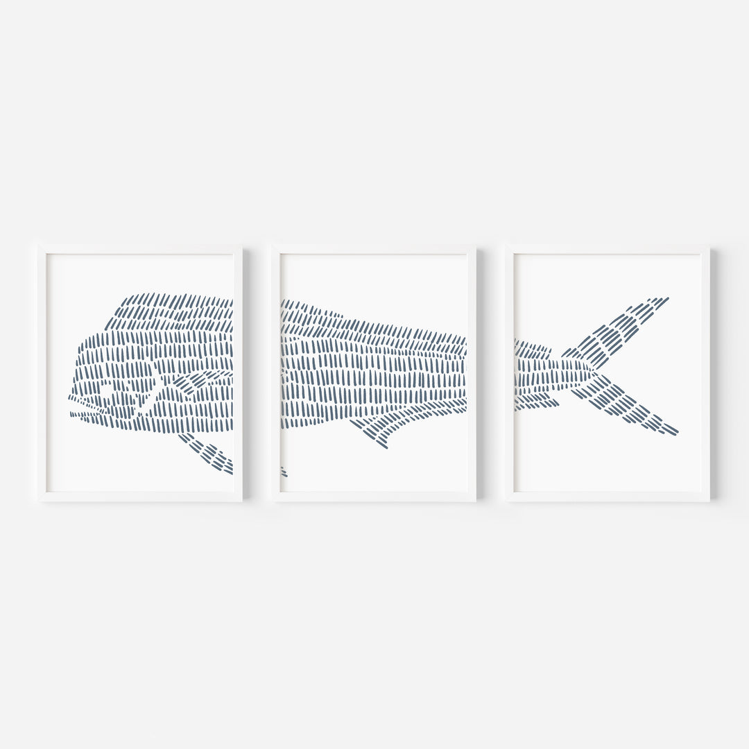 Mahi Mahi Illustration - Set of 3  - Art Prints or Canvases - Jetty Home
