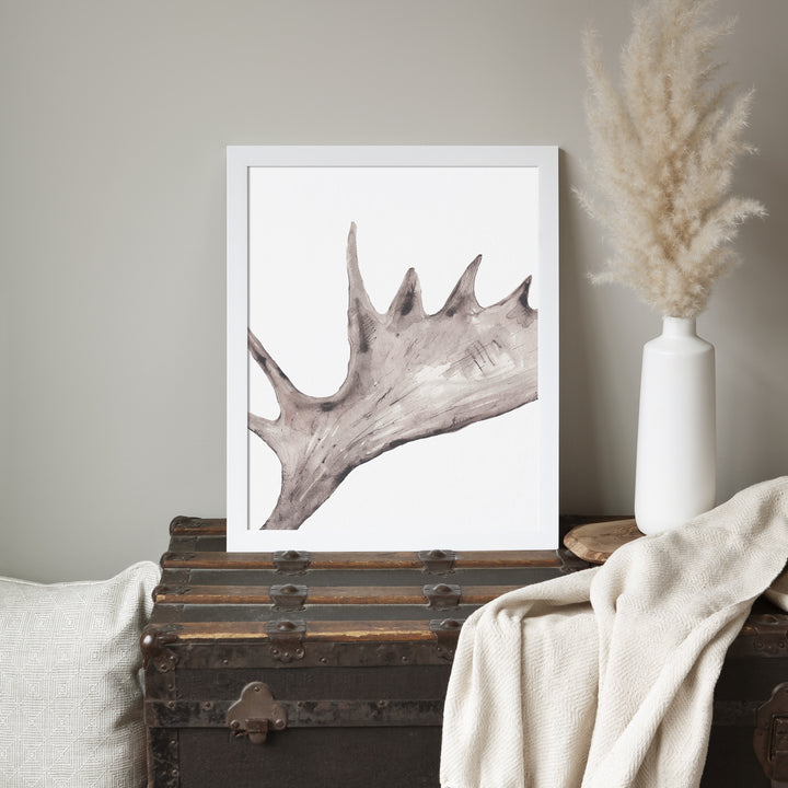 Rustic Moose Antler