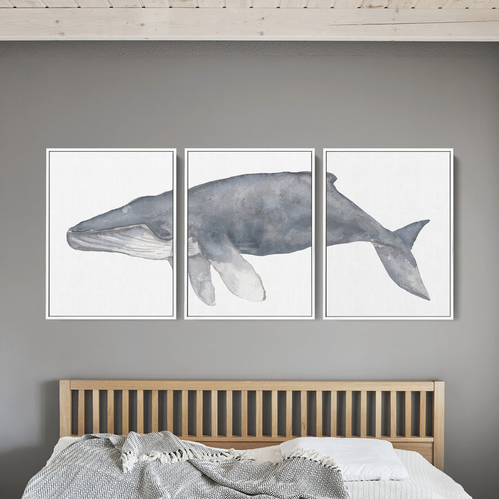 Humpback Whale Watercolor - Set of 3  - Art Prints or Canvases - Jetty Home