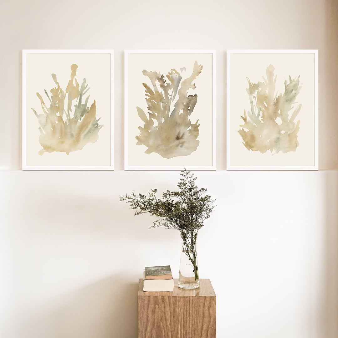 Ethereal Flora Trio - Set of 3