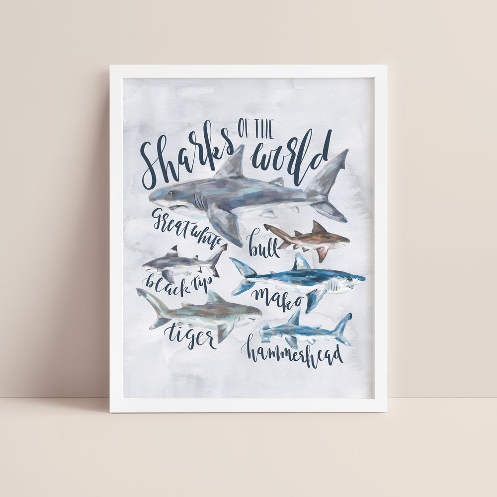 Sharks of the World  - Art Print or Canvas - Jetty Home