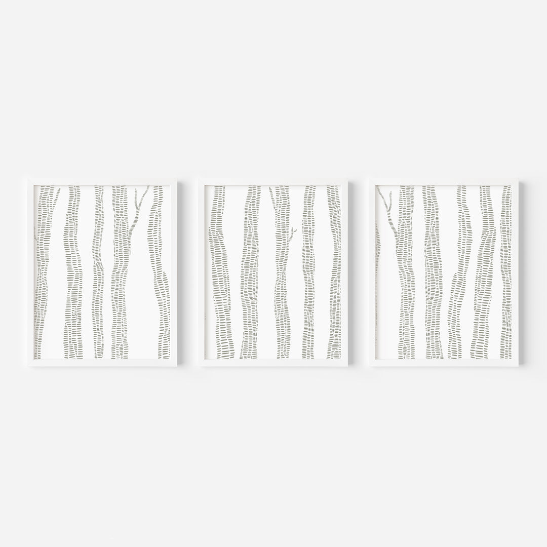 Gray Birch Trees - Set of 3  - Art Prints or Canvases - Jetty Home