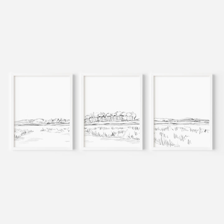 The Lowcountry - Set of 3