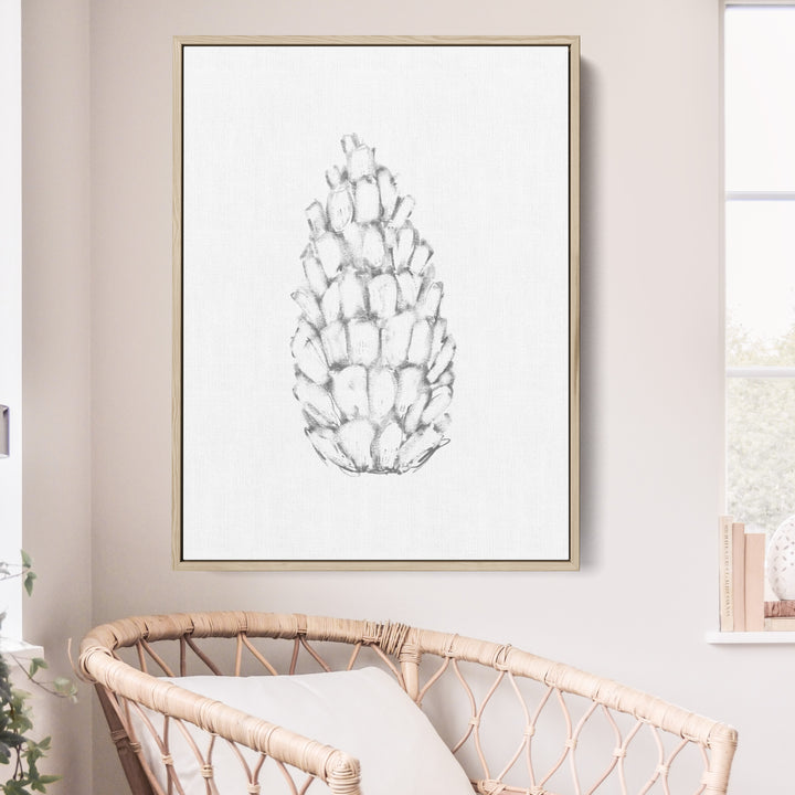 Pine Cone Illustration