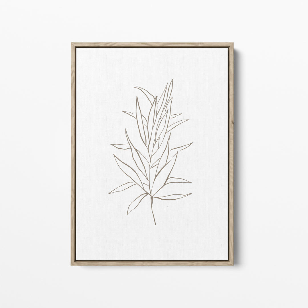 Eucalyptus Drawing, No. 4  - Art Print or Canvas - Jetty Home