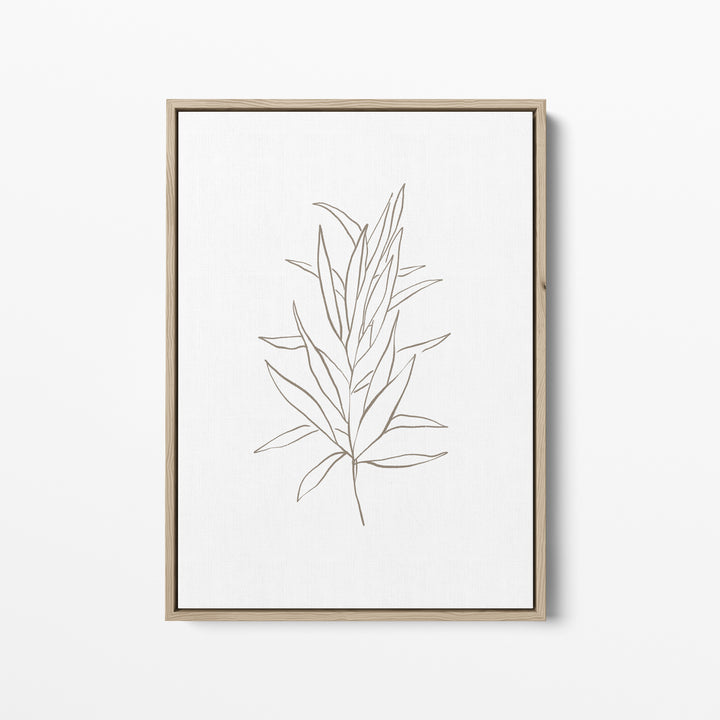 Eucalyptus Drawing, No. 4  - Art Print or Canvas - Jetty Home