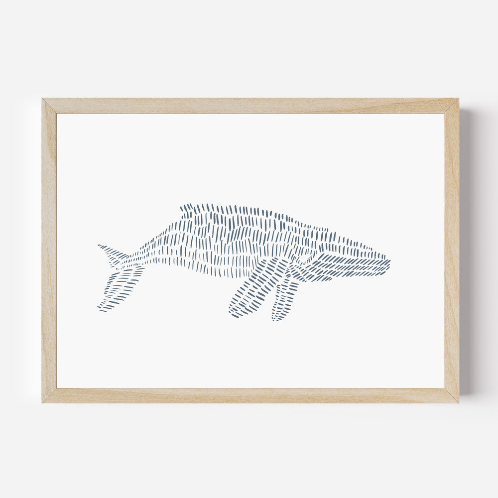 Humpback Whale Illustration  - Art Print or Canvas - Jetty Home