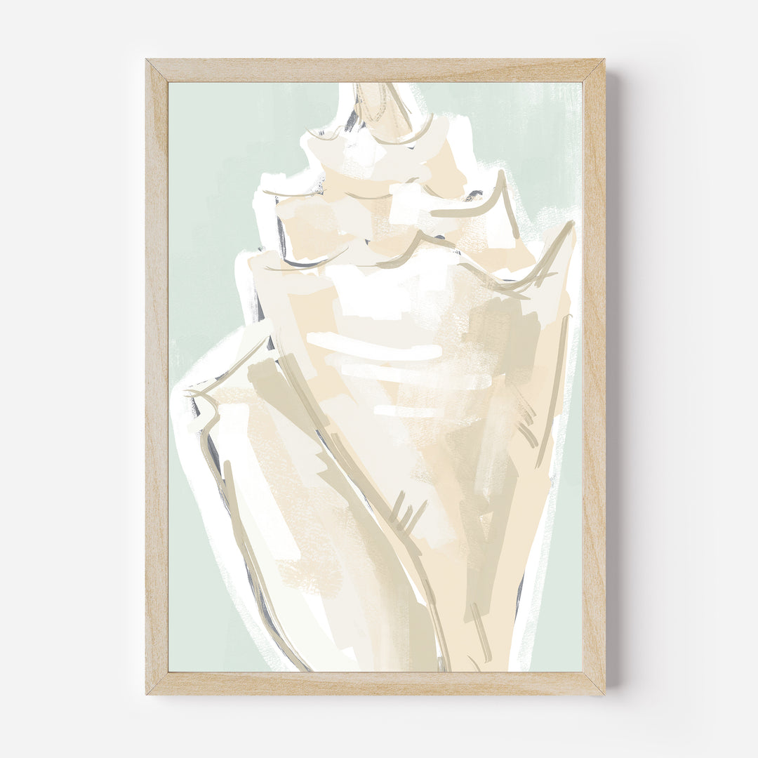 The Summer Conch