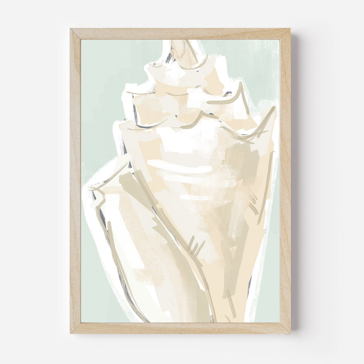 The Summer Conch