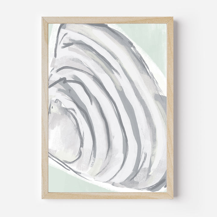The Summer Shell