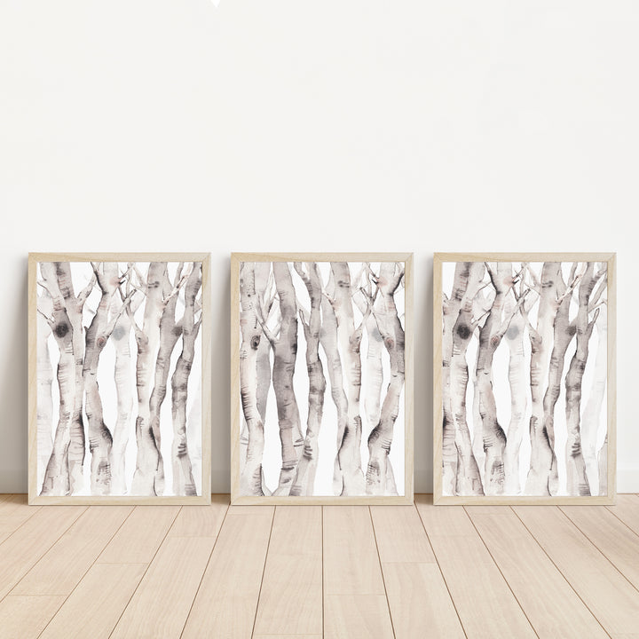 Modern Aspen Birch Tree Watercolor - Set of 3  - Art Prints or Canvases - Jetty Home