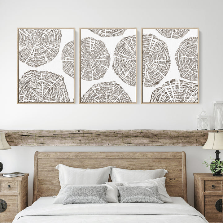 Tree Growth Rings - Set of 3  - Art Prints or Canvases - Jetty Home