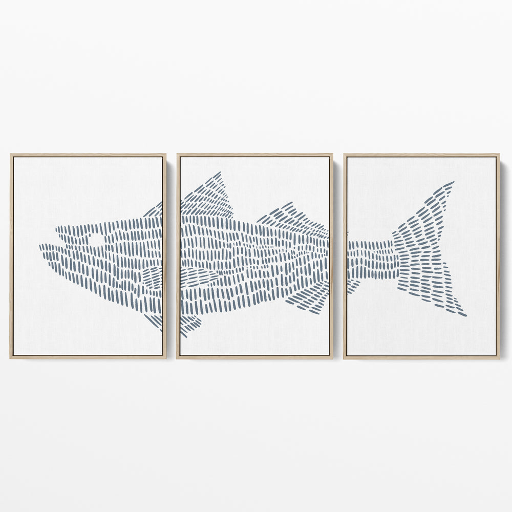 Striped Bass Fish Modern Illustration - Set of 3  - Art Prints or Canvases - Jetty Home