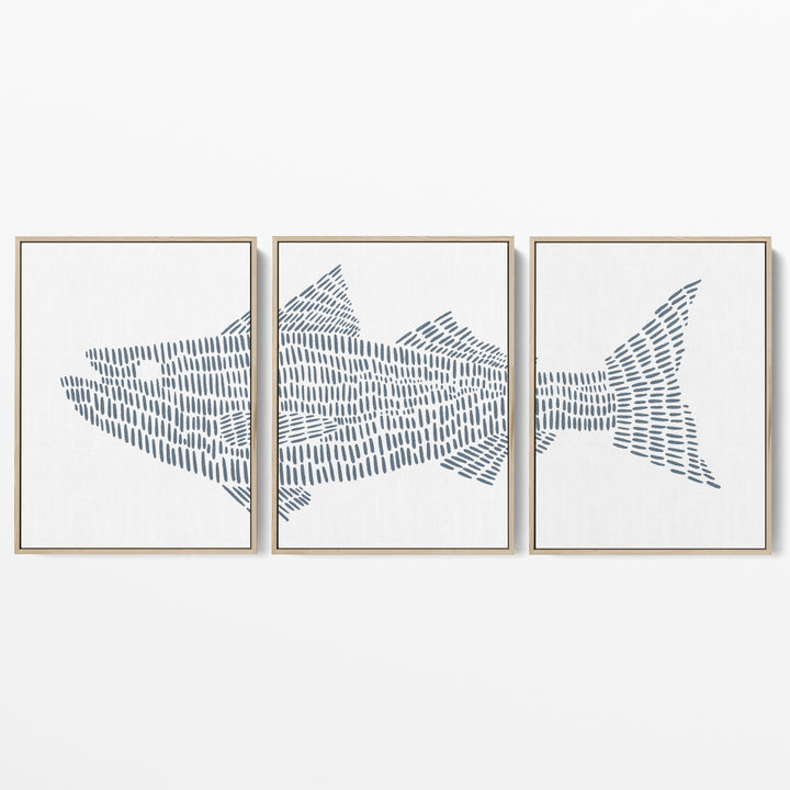 Striped Bass Fish Modern Illustration - Set of 3  - Art Prints or Canvases - Jetty Home