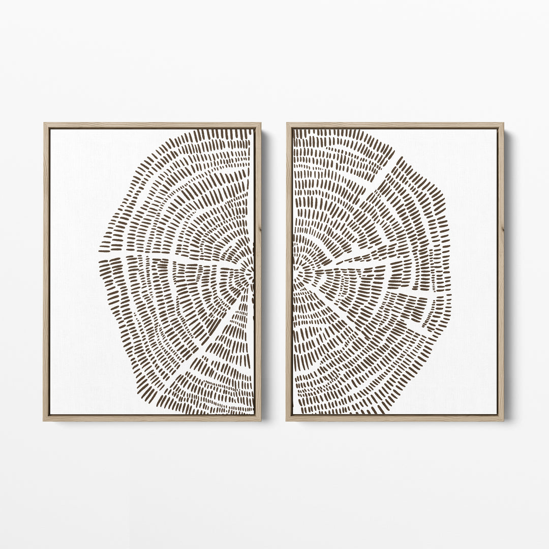Tree Growth Rings Illustration - Set of 2  - Art Prints or Canvases - Jetty Home