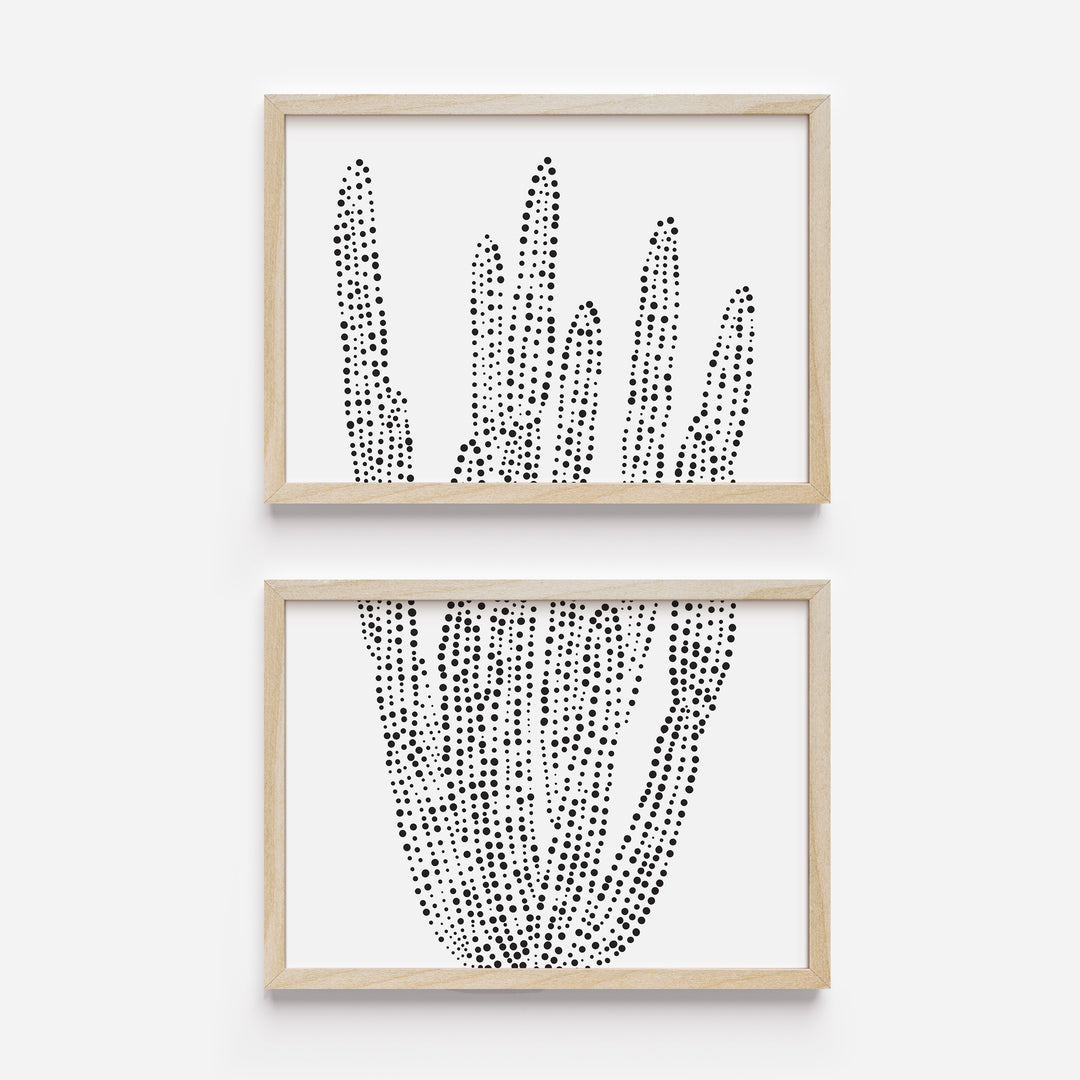 Organ Pipe Cactus - Set of 2