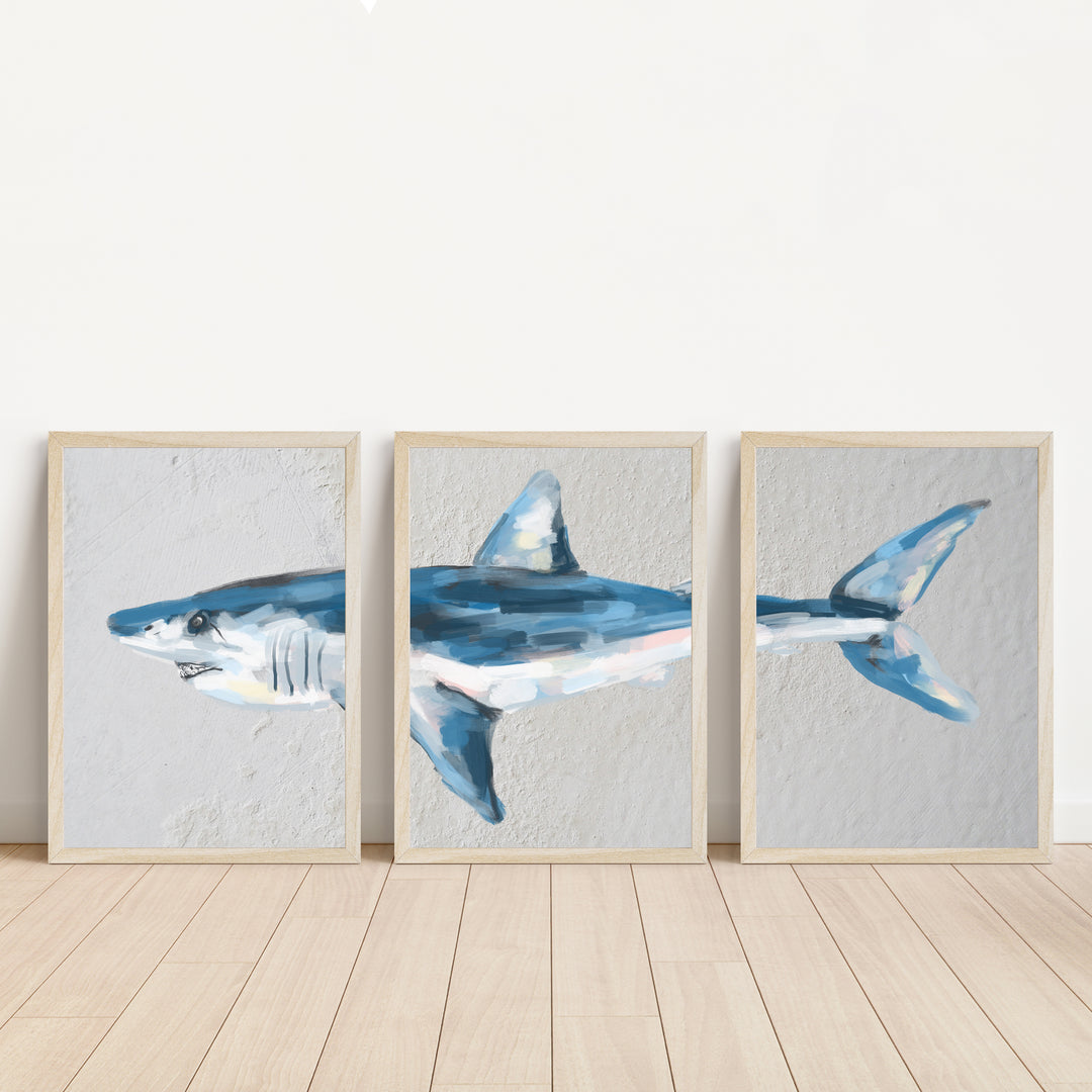 Mako Shark Triptych - Set of 3  - Art Prints or Canvases - Jetty Home