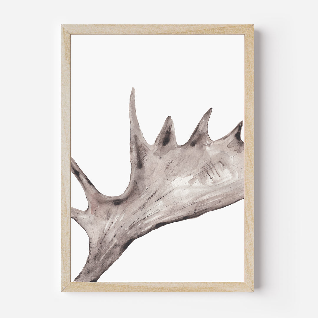 Rustic Moose Antler  - Art Print or Canvas - Jetty Home