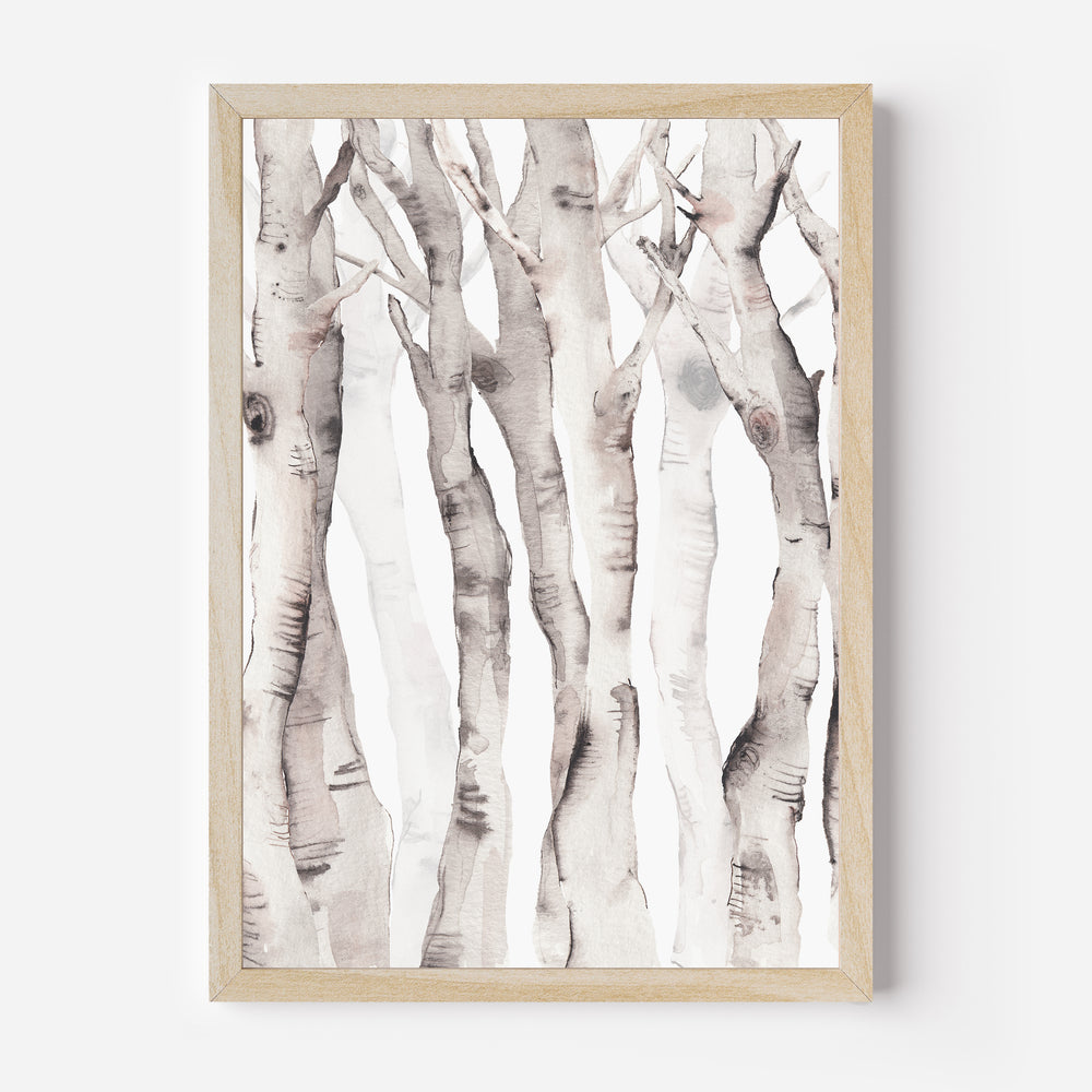 Birch Tree Watercolor No. 2  - Art Print or Canvas - Jetty Home