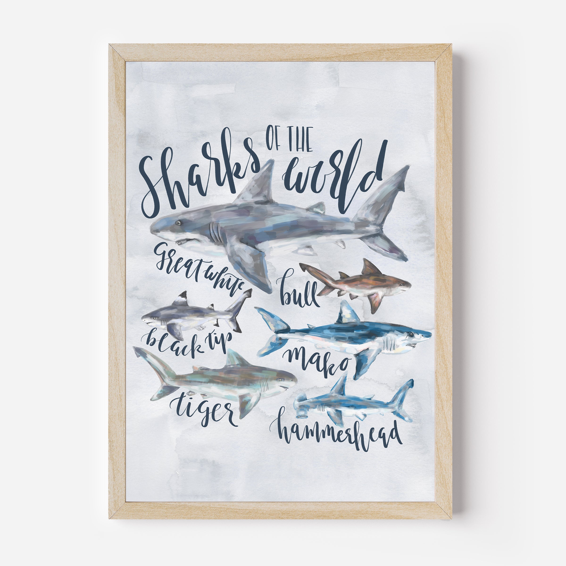 Sharks of the World - Art Print or Canvas | Jetty Home