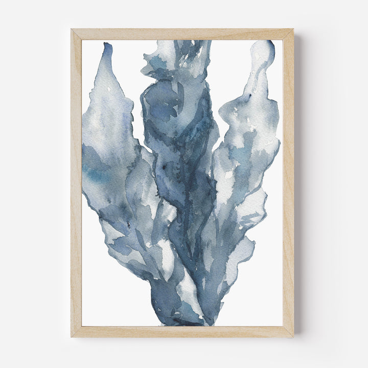 Blue Sea Lettuce Watercolor No. 2  - Art Print or Canvas - Jetty Home