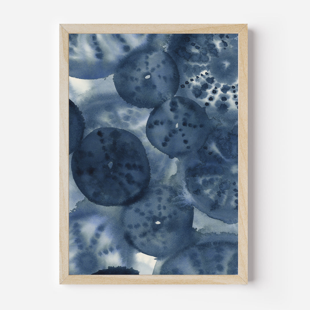 The Sea Urchins