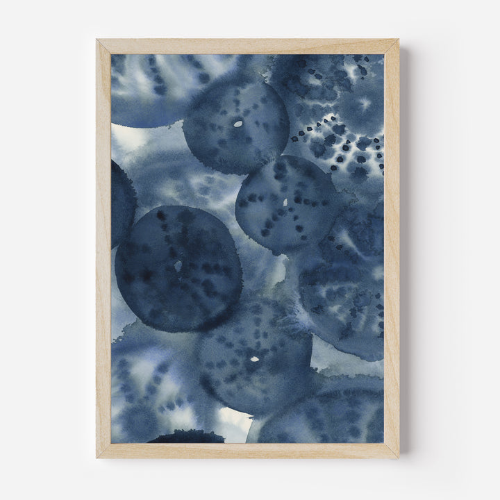 The Sea Urchins