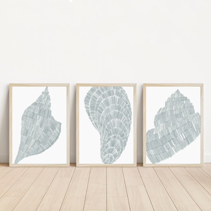 Salty Shells Triptych  - Set of 3  - Art Prints or Canvases - Jetty Home