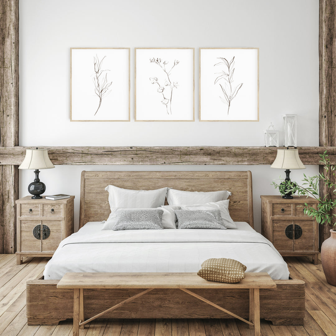 Brown and White Botanical Illustration Triptych Set of Three Wall Art Prints or Canvas - Jetty Home