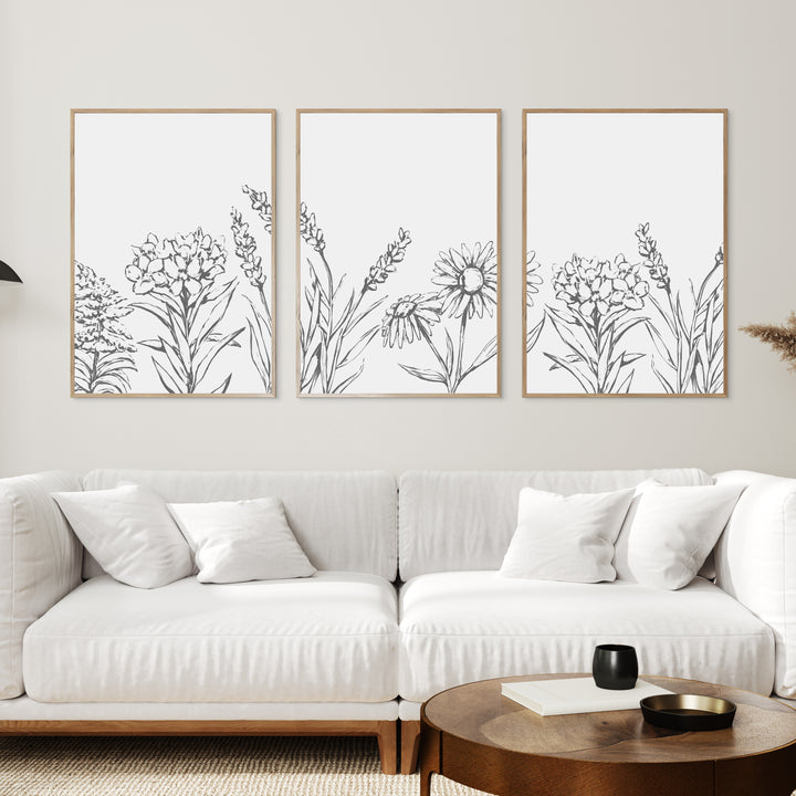 Wildflower Illustrations - Set of 3  - Art Prints or Canvases - Jetty Home