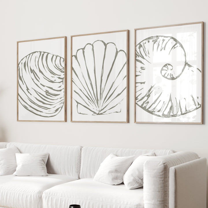 Minimalist Seashell Trio, No. 2 - Set of 3  - Art Prints or Canvases - Jetty Home