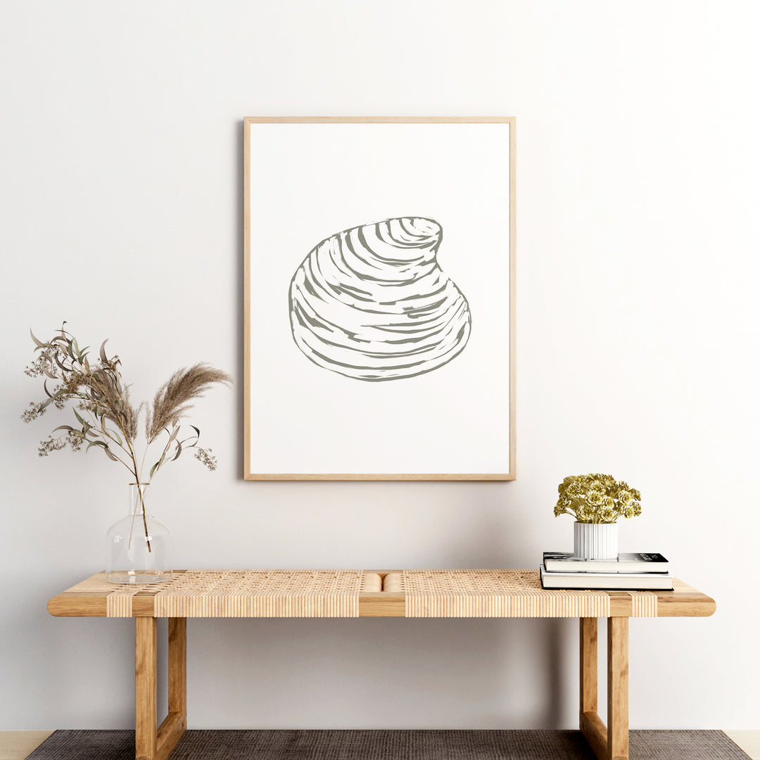 Quahog Seashell  - Art Print or Canvas - Jetty Home