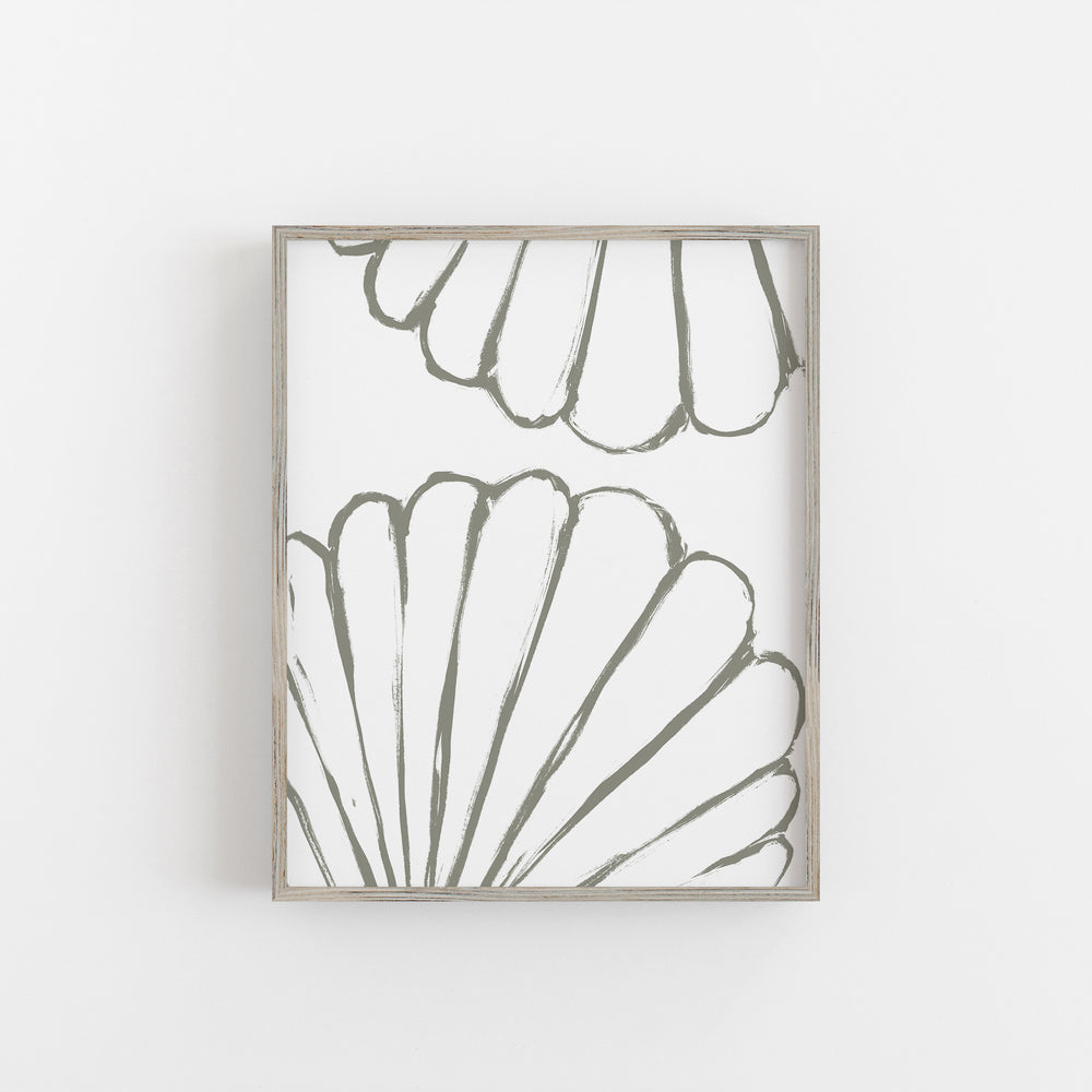 "Modern Seashell Study 4" Beach Illustration - Art Print or Canvas - Jetty Home