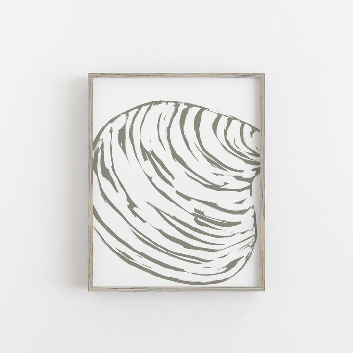 "Modern Seashell Study 1" Beach Illustration - Art Print or Canvas - Jetty Home