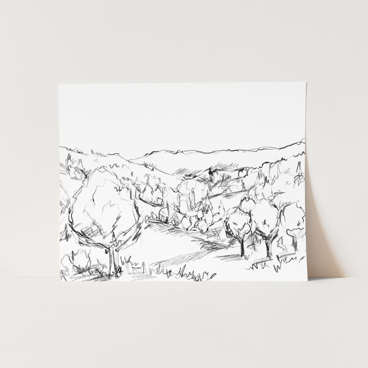 Forest Meadow Landscape Black and White Illustration Wall Art Print or Canvas - Jetty Home