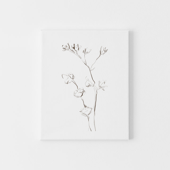 Modern Plant Botanicals Illustration Wall Art Print or Canvas - Jetty Home