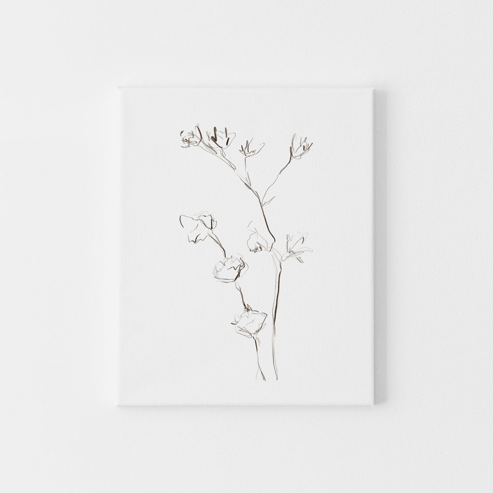 Modern Plant Botanicals Illustration Wall Art Print or Canvas - Jetty Home