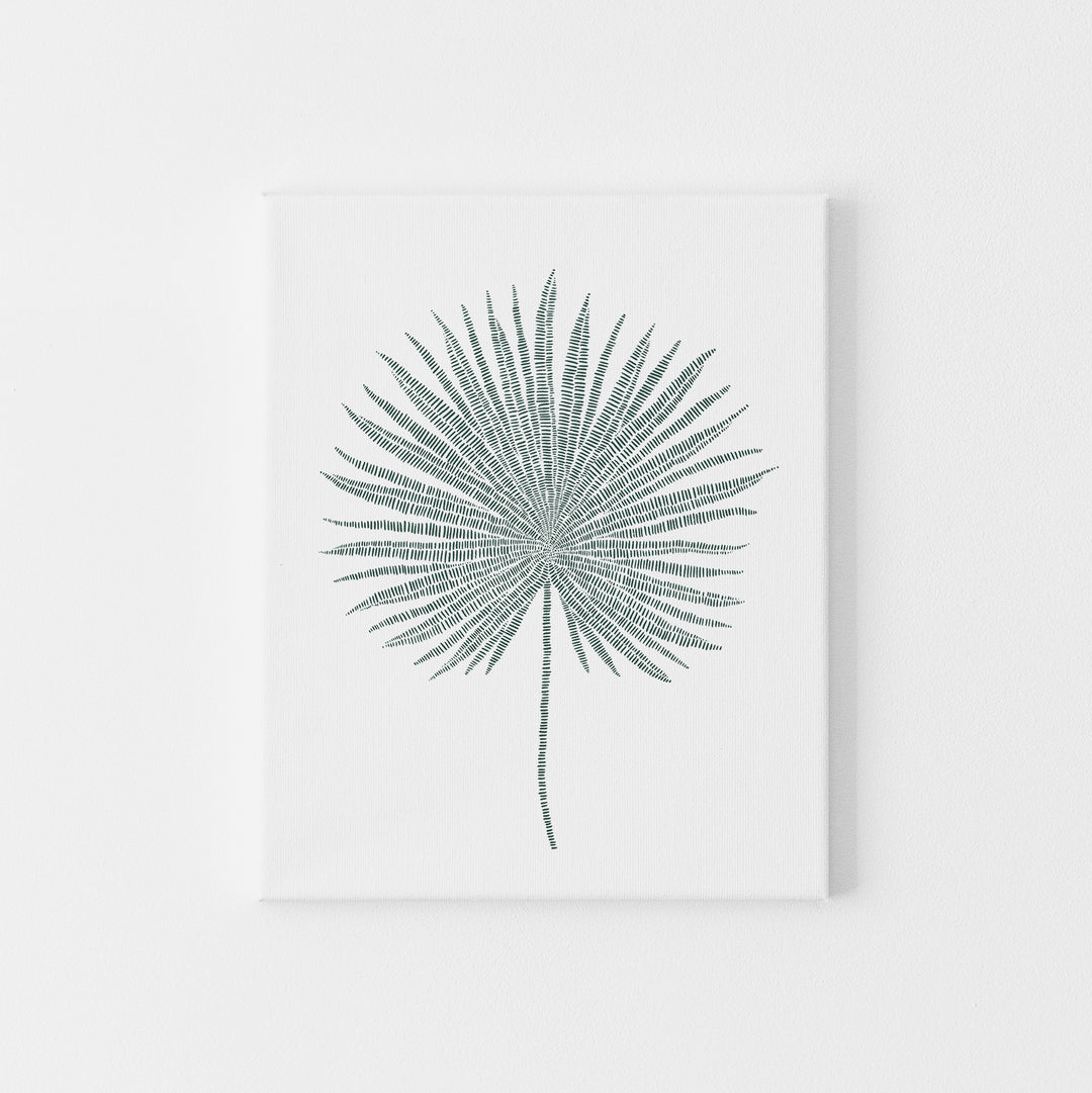 Palm Fan Frond Tropical Botanical Leaf Wall Art Print or Canvas - Jetty Home
