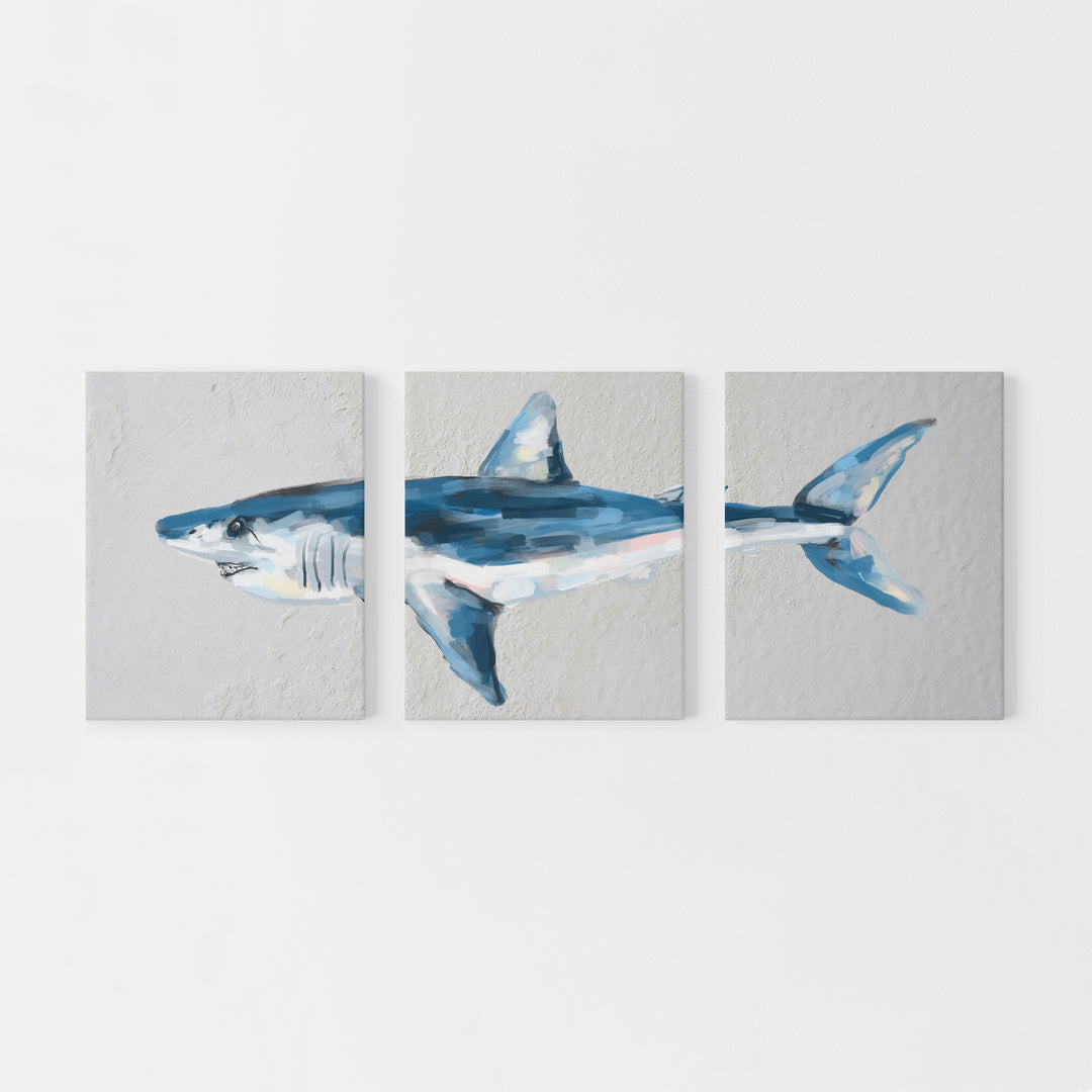 Mako Shark Triptych Wall Art Print or Canvas - Jetty Home