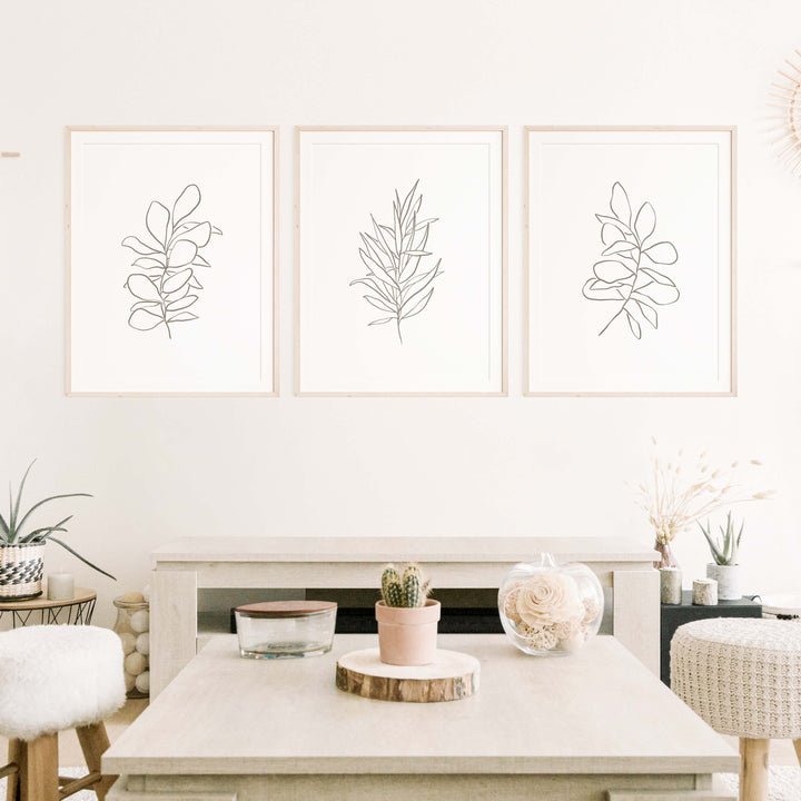 Eucalyptus Plant Illustrations - Set of 3  - Art Prints or Canvases - Jetty Home